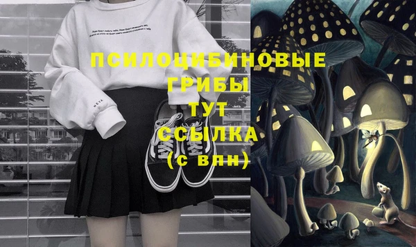 кокс Белокуриха