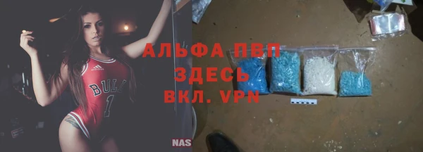 кокс Белокуриха